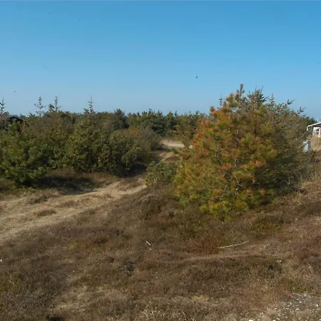 50406-ulfborg-bjerghuse-111 別荘 *